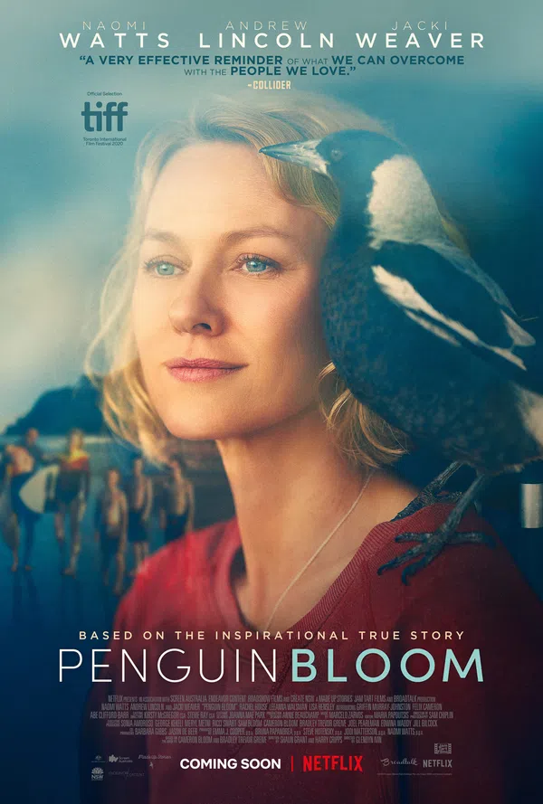 Poster phim Cánh Cụt Nhà Bloom trên Xem Phim Fun